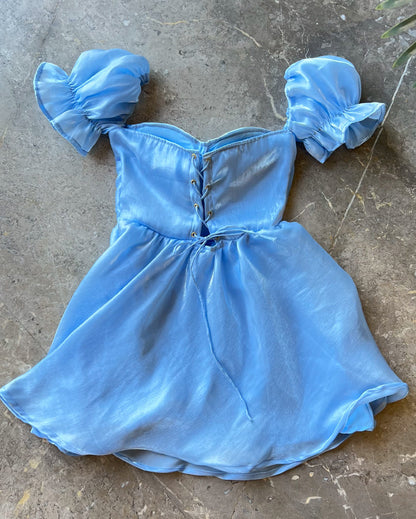 Frozen Gudiya Dress